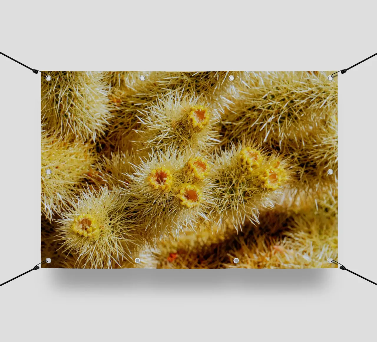 spine di cactus telo in pvc da Earthly Visions