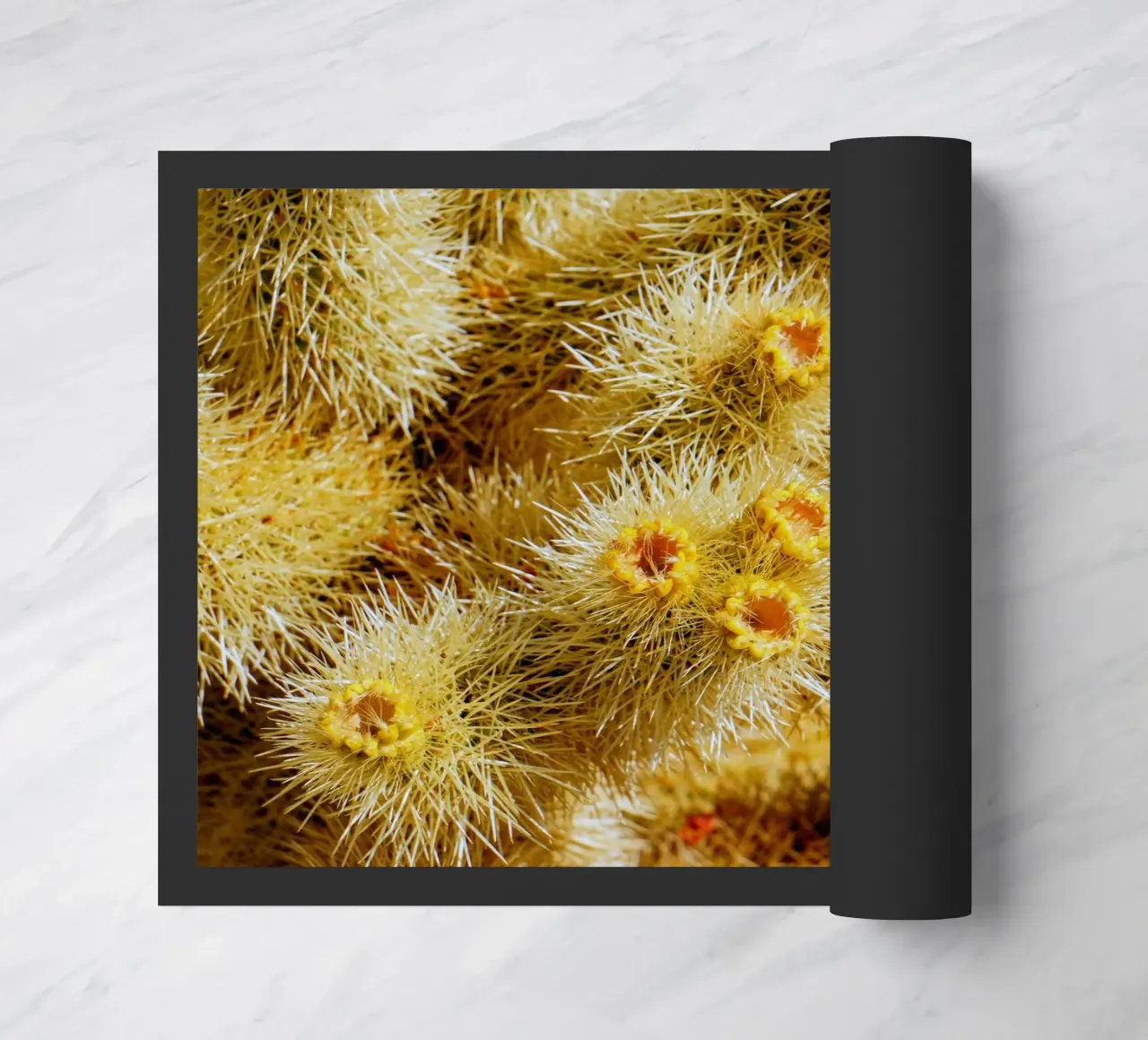 spine di cactus zerbino da Earthly Visions