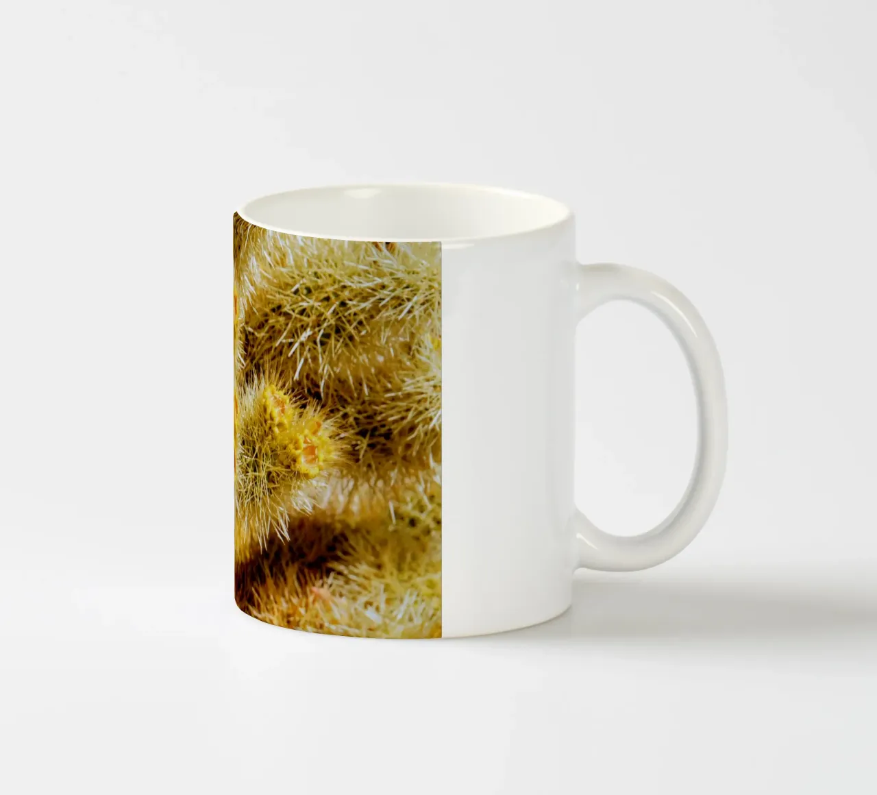 spine di cactus tazza in ceramica da Earthly Visions