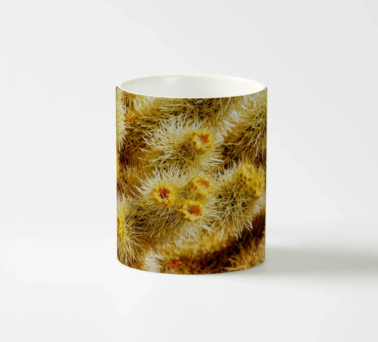 spine di cactus tazza in ceramica da Earthly Visions