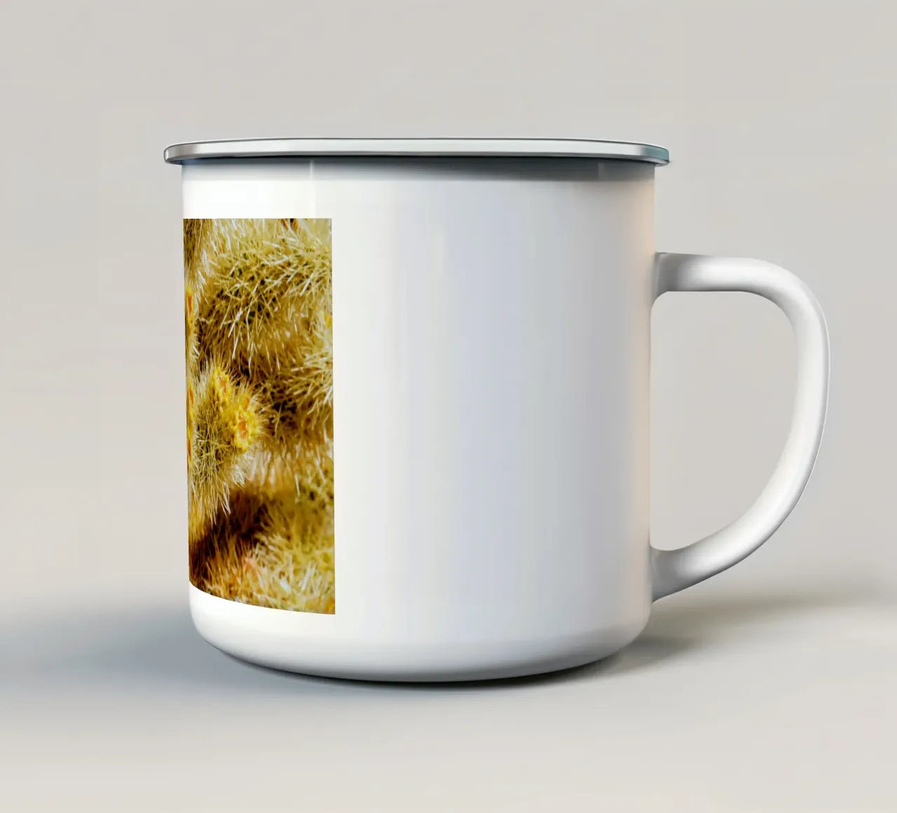spine di cactus tazza in smalto da Earthly Visions