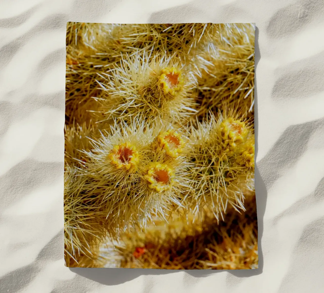 spine di cactus telo mare da Earthly Visions