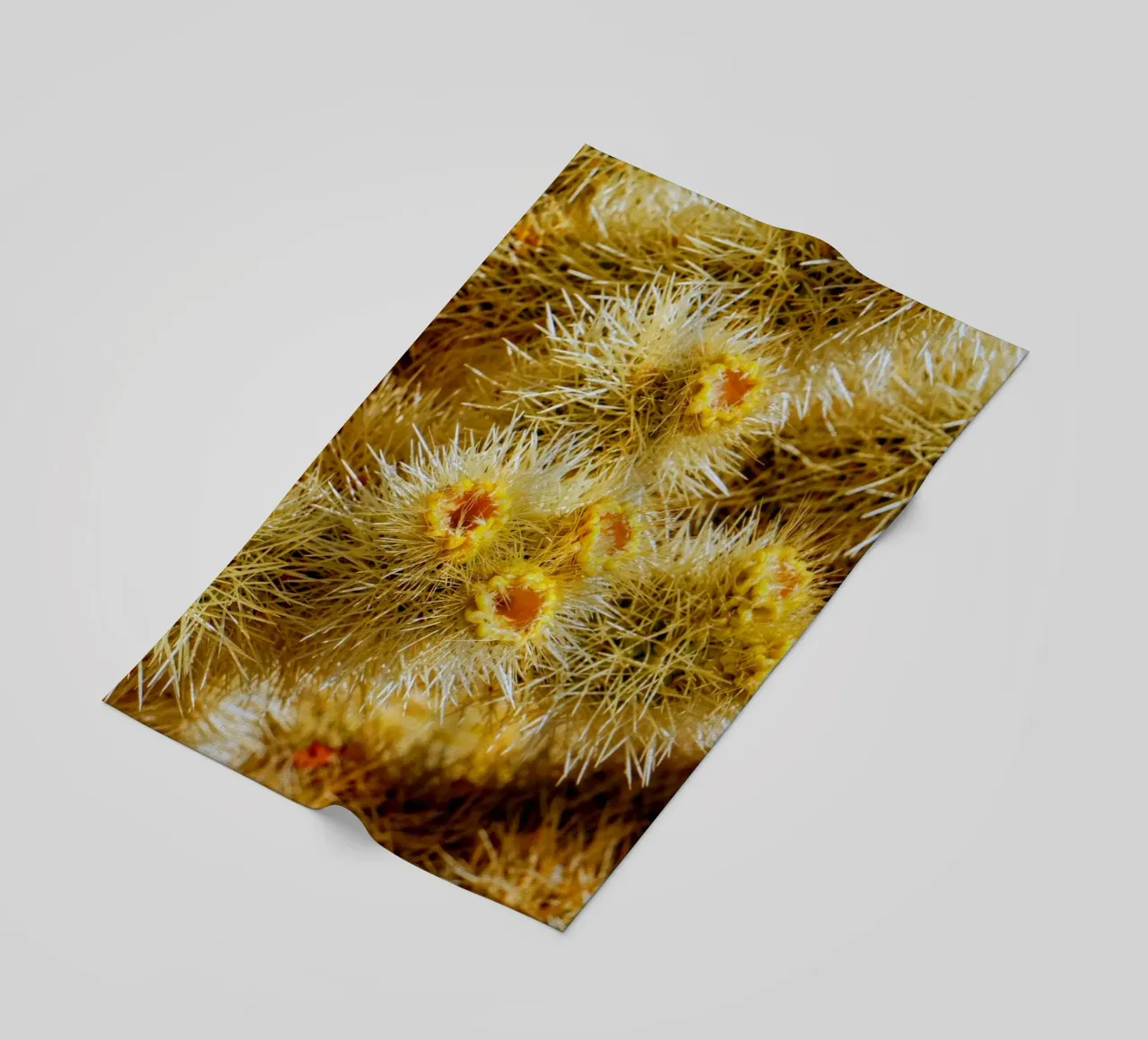 spine di cactus telo mare da Earthly Visions