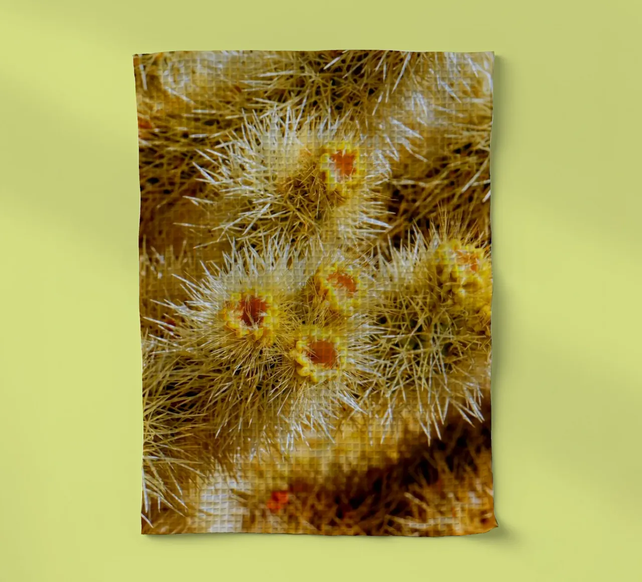 spine di cactus canovaccio da cucina da Earthly Visions