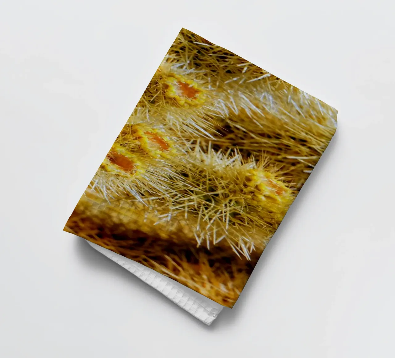 spine di cactus canovaccio da cucina da Earthly Visions