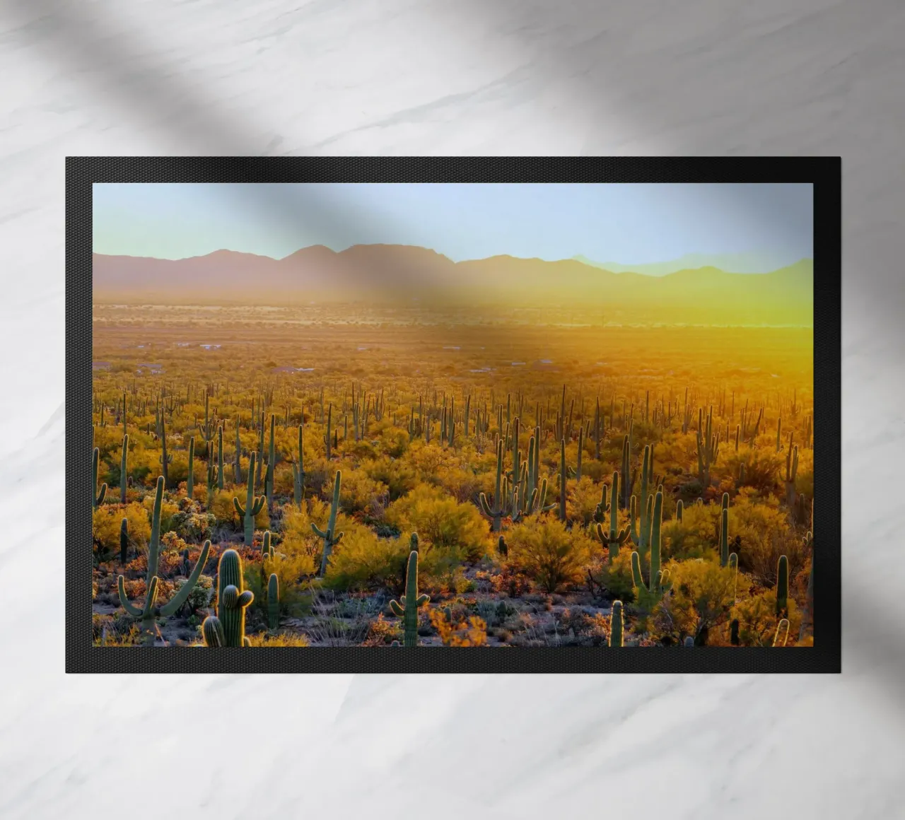 cactus del deserto zerbino da Earthly Visions