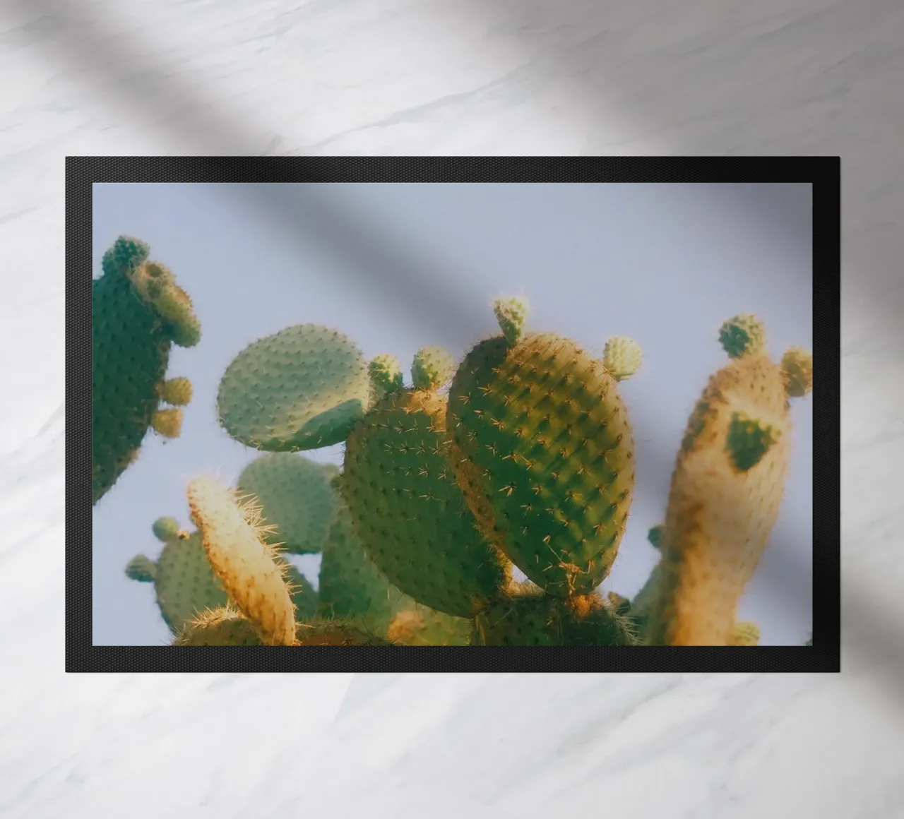 cactus fico d'India zerbino da Earthly Visions