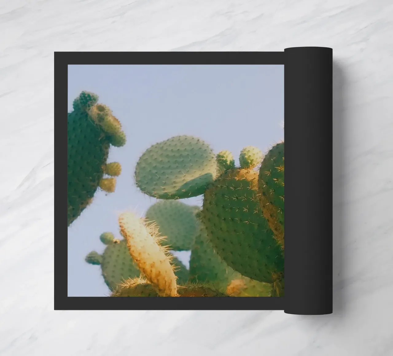 cactus fico d'India zerbino da Earthly Visions