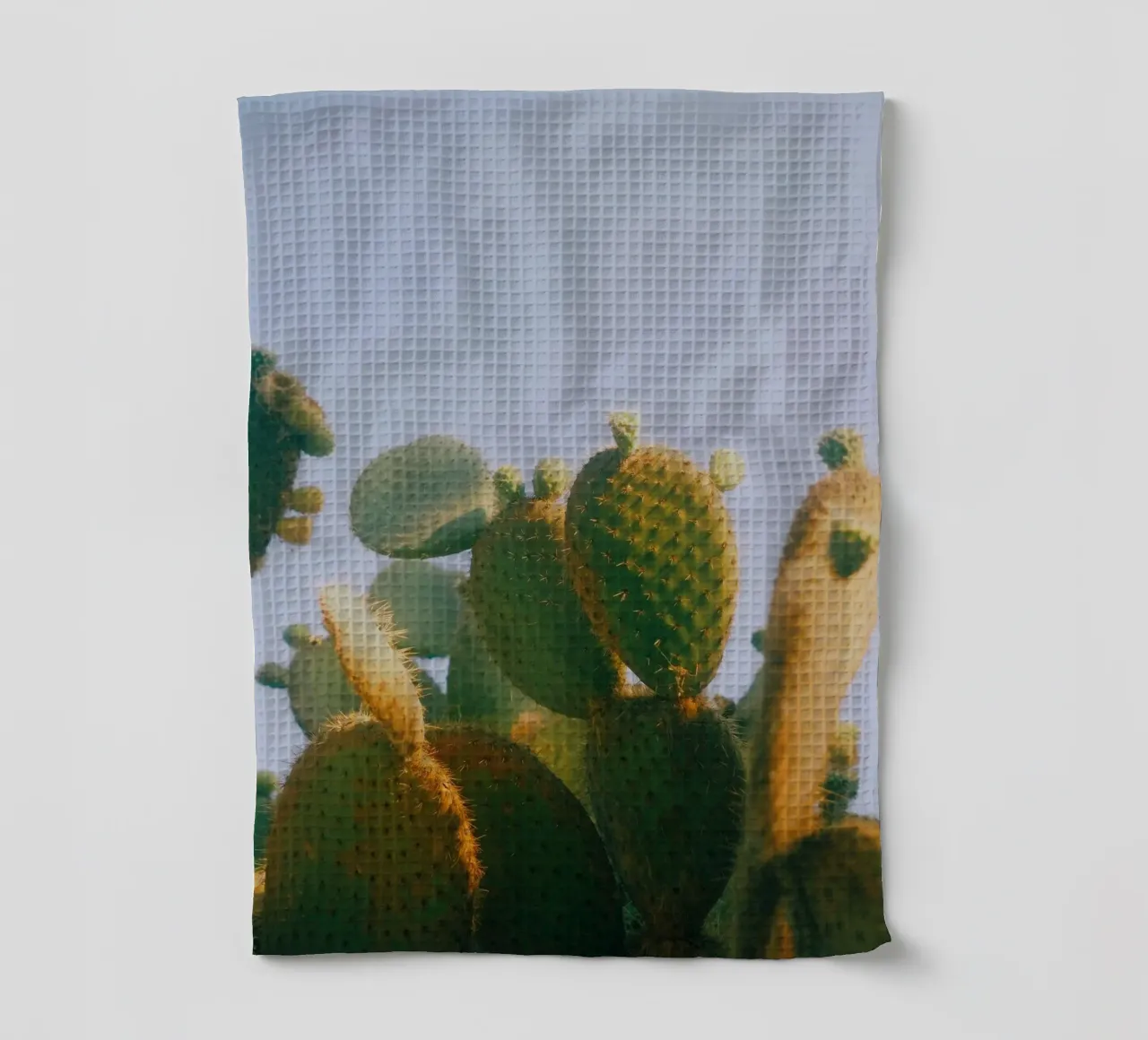 cactus fico d'India canovaccio da cucina da Earthly Visions