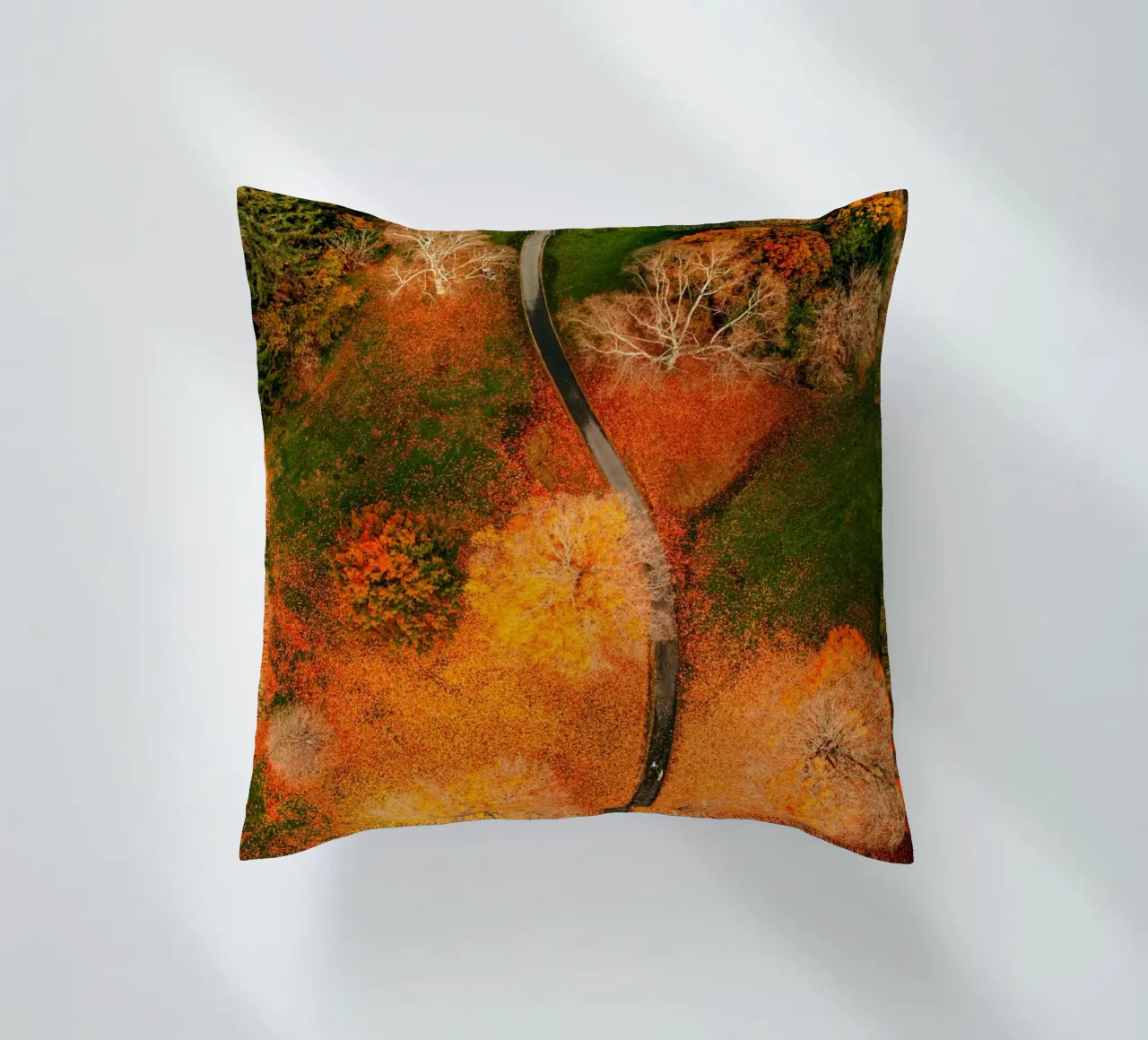 vue aérienne chemin sinueux coussin de Earthly Visions