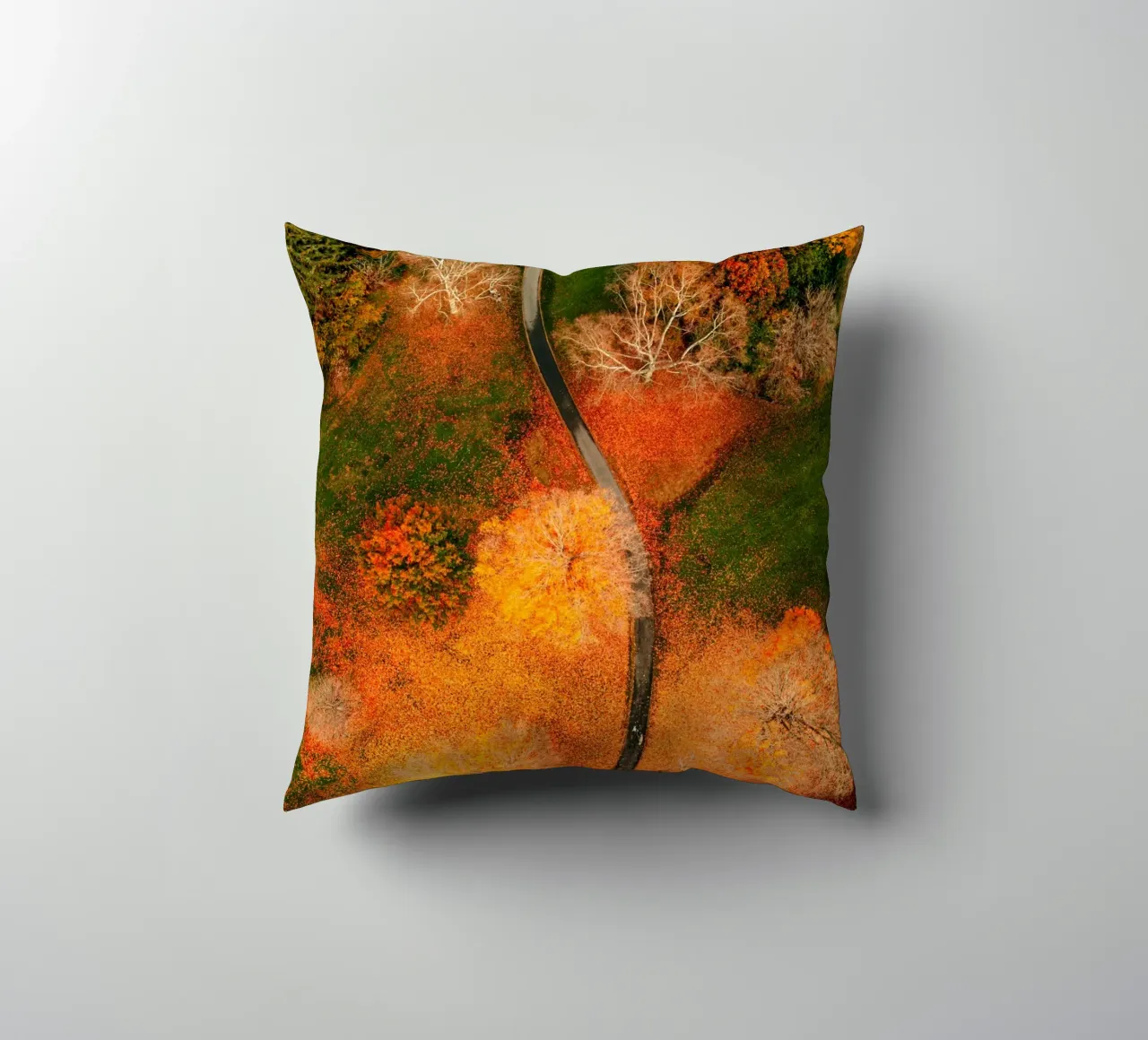 vue aérienne chemin sinueux coussin de Earthly Visions