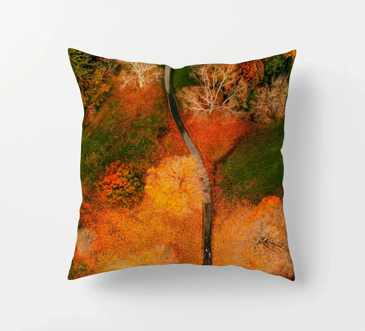vue aérienne chemin sinueux coussin de Earthly Visions