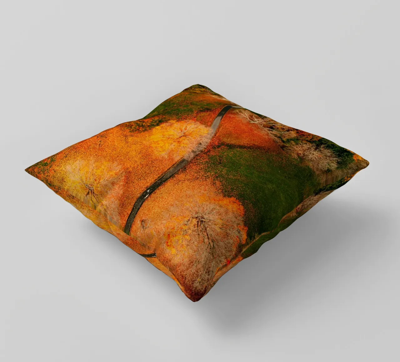 vue aérienne chemin sinueux coussin de Earthly Visions