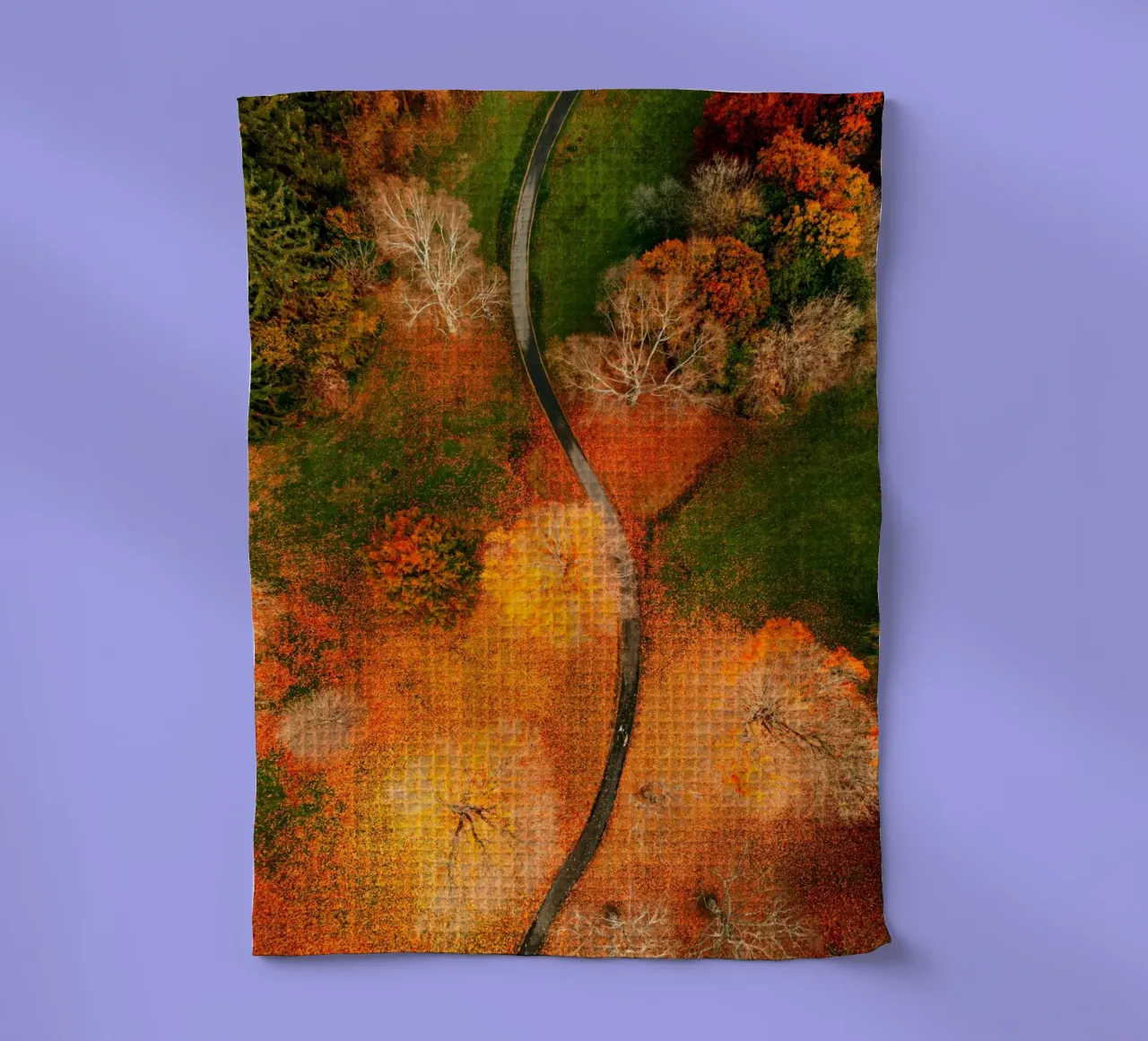 vue aérienne chemin sinueux torchon de Earthly Visions