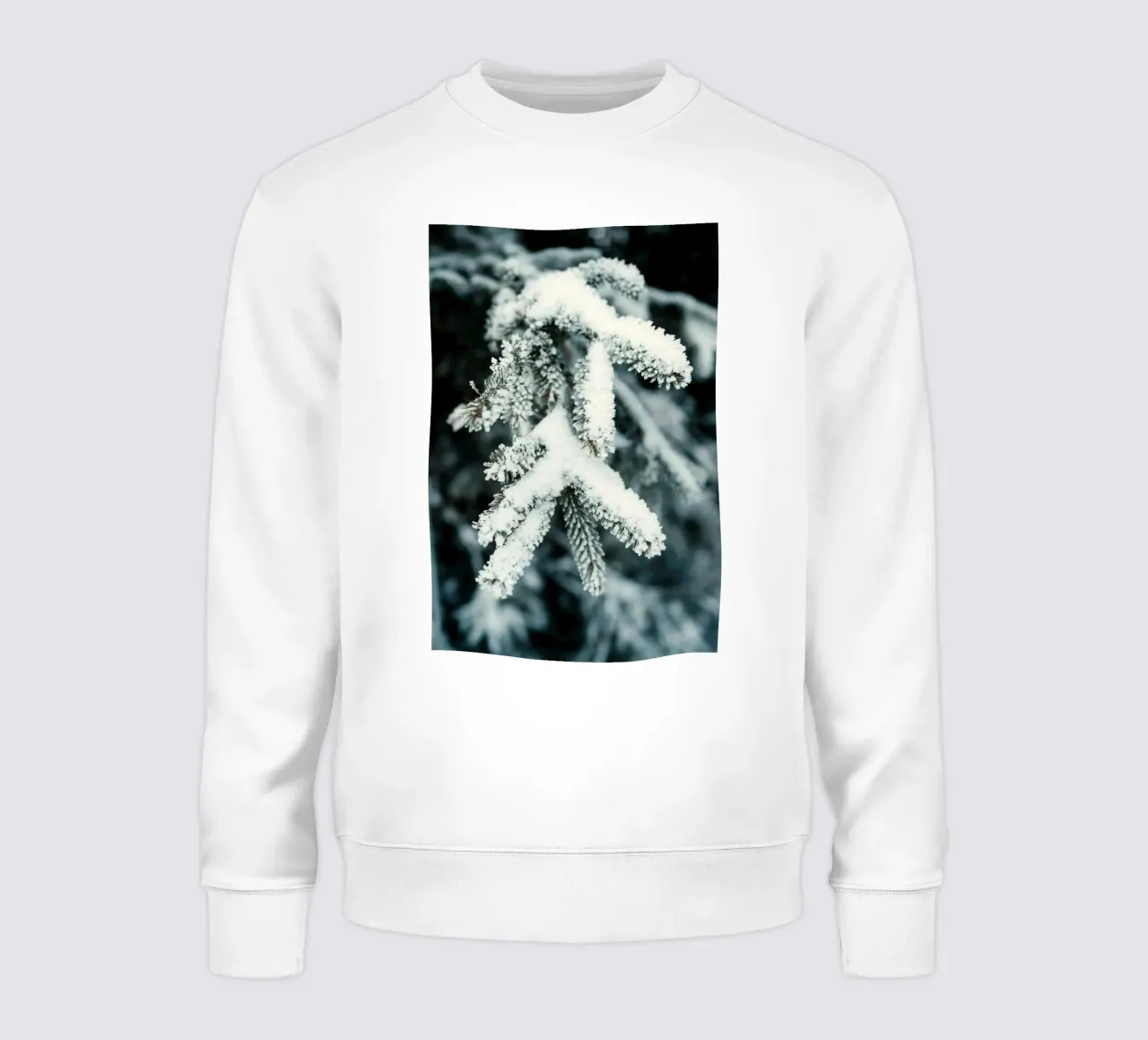ramo neve felpa da Earthly Visions