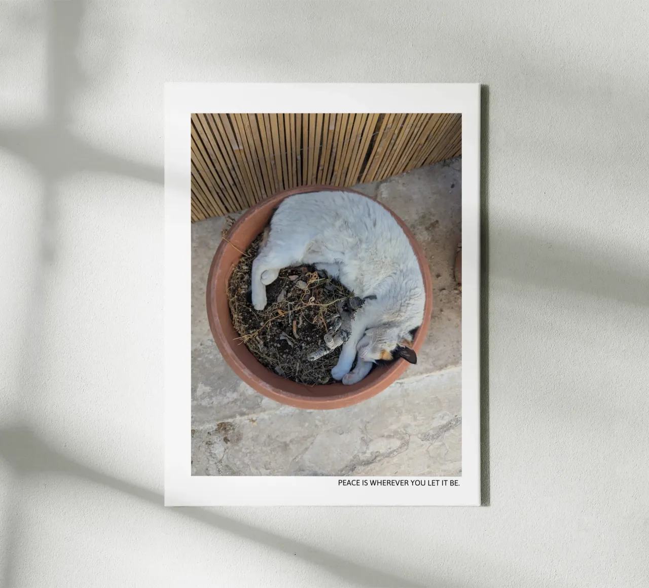 Soft Earth - Peace Is Wherever You Let It Be tela con Cornice a cassetta da Studio Wanderlust