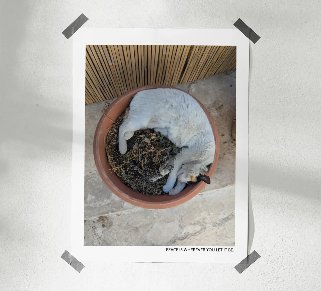 Soft Earth - Peace Is Wherever You Let It Be poster da Studio Wanderlust
