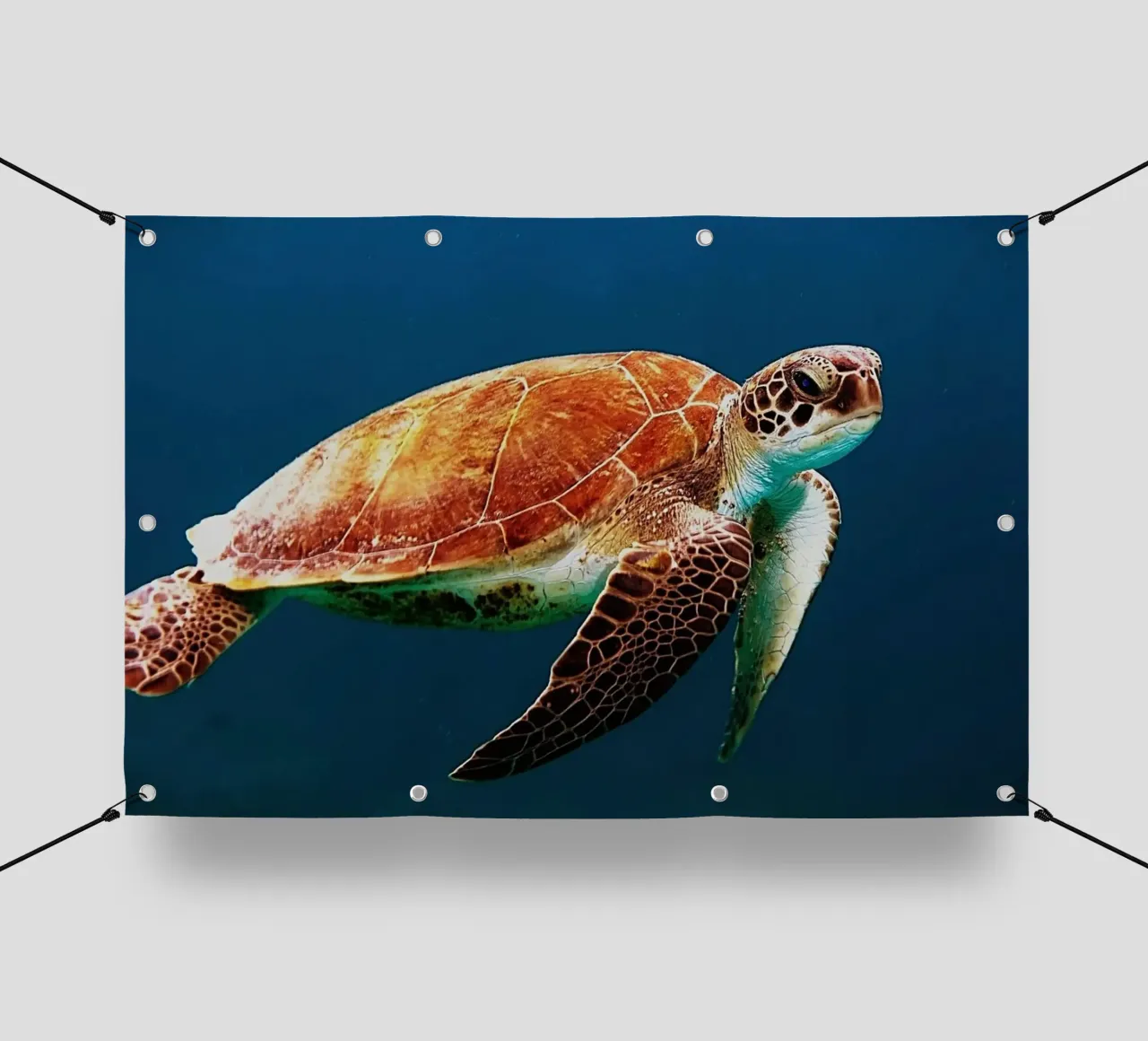 Nato per vagare nel mare telo in pvc da Nature's Palette