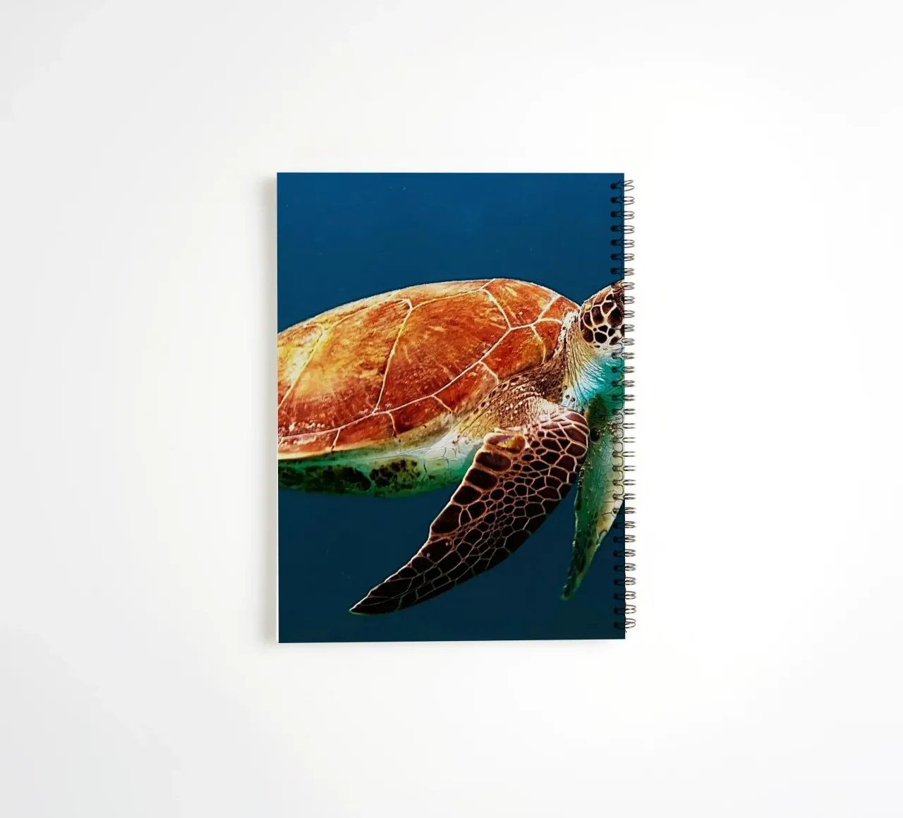 Geboren, um das Meer zu durchstreifen Ringbuch von Nature's Palette
