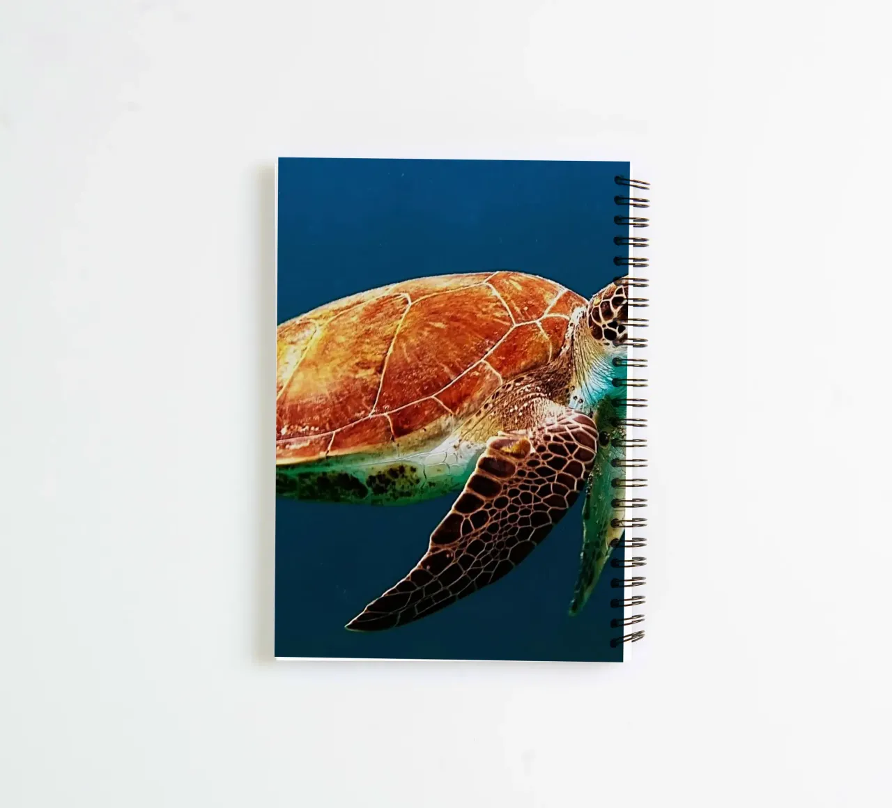 Geboren, um das Meer zu durchstreifen Ringbuch von Nature's Palette