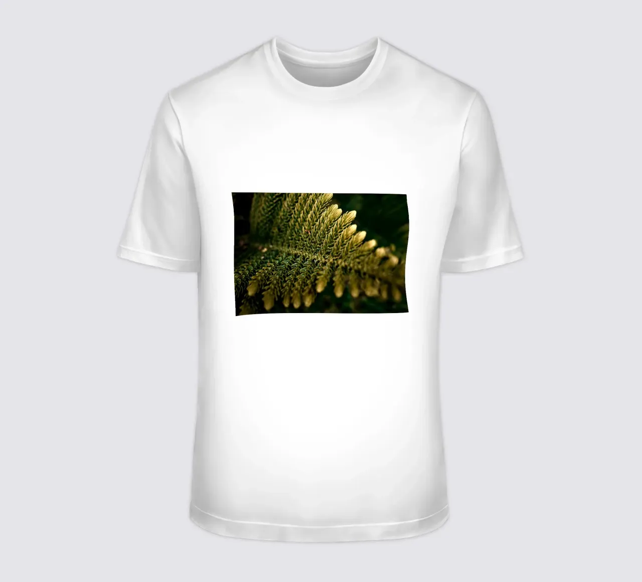 foglie di felce t-shirt da Earthly Visions