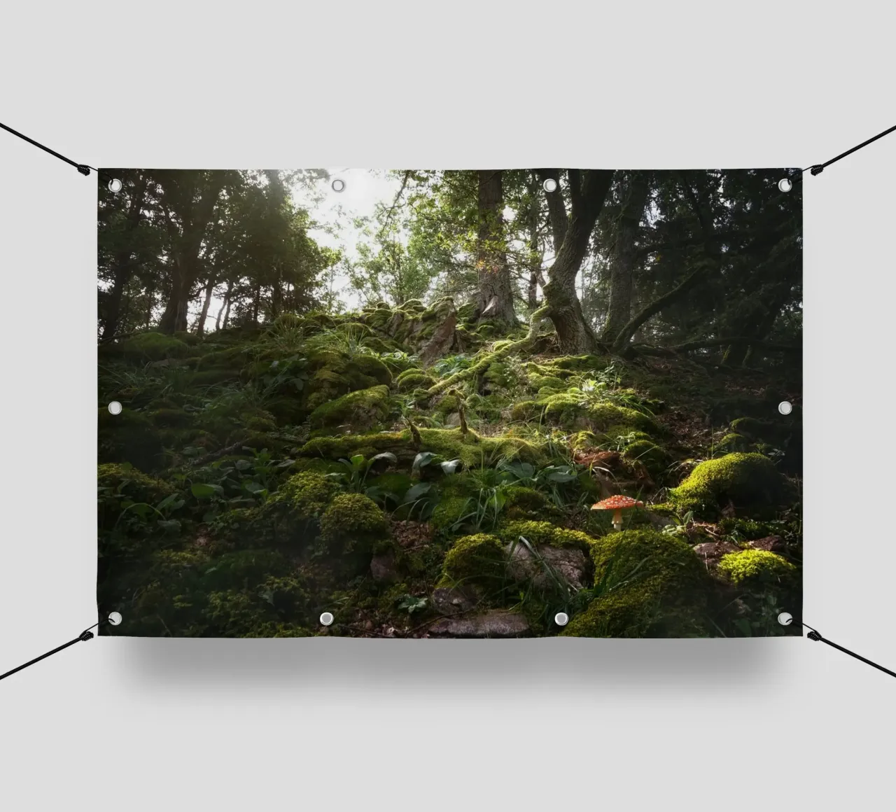 muschio della foresta telo in pvc da Earthly Visions