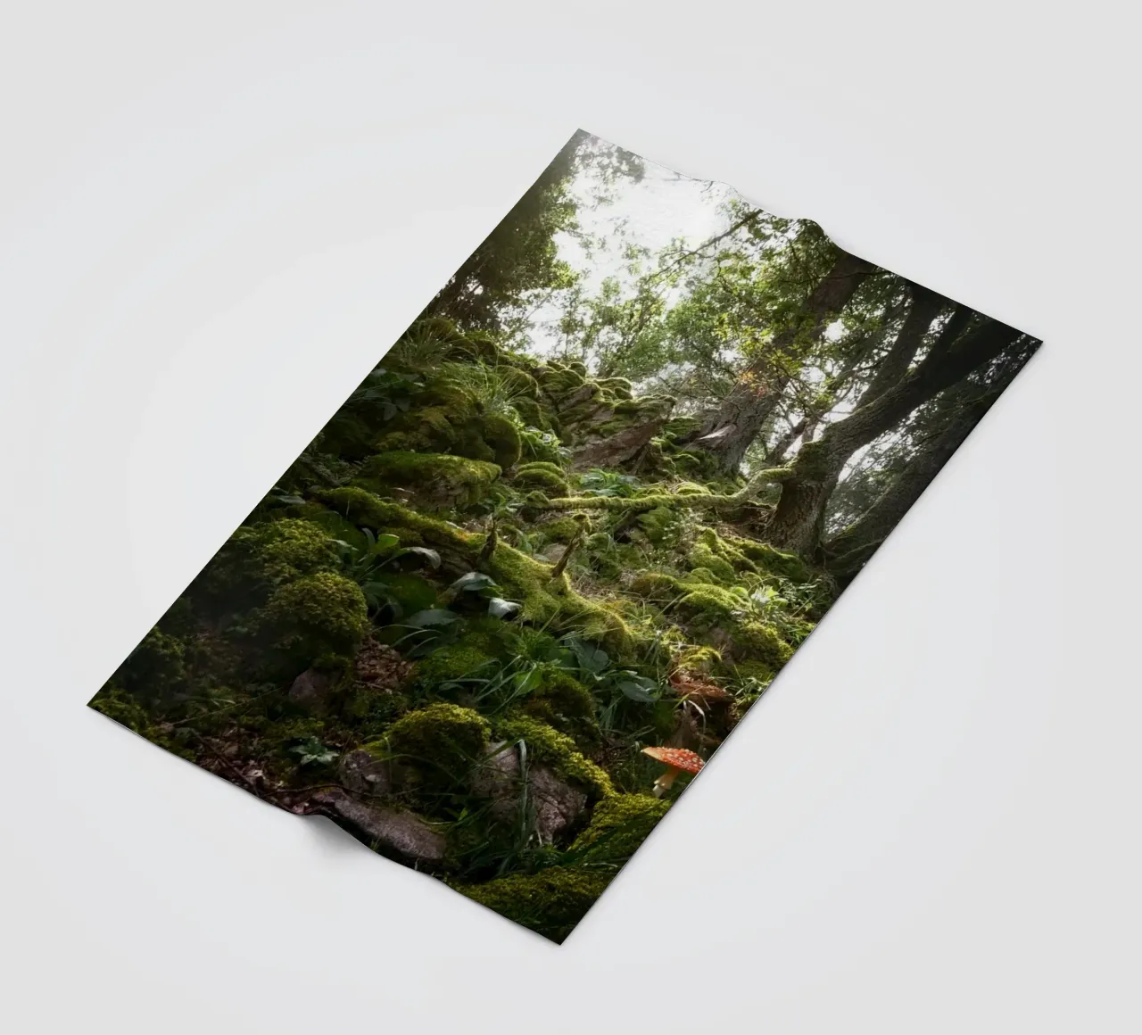 forest moss Fleecedecke von Earthly Visions