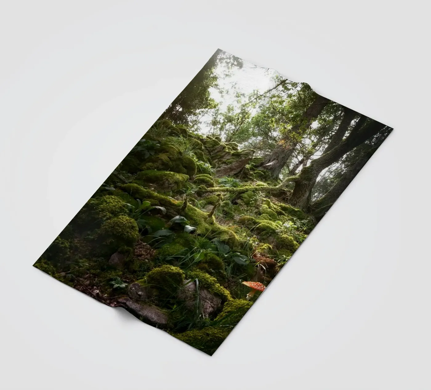 forest moss Fleecedecke von Earthly Visions