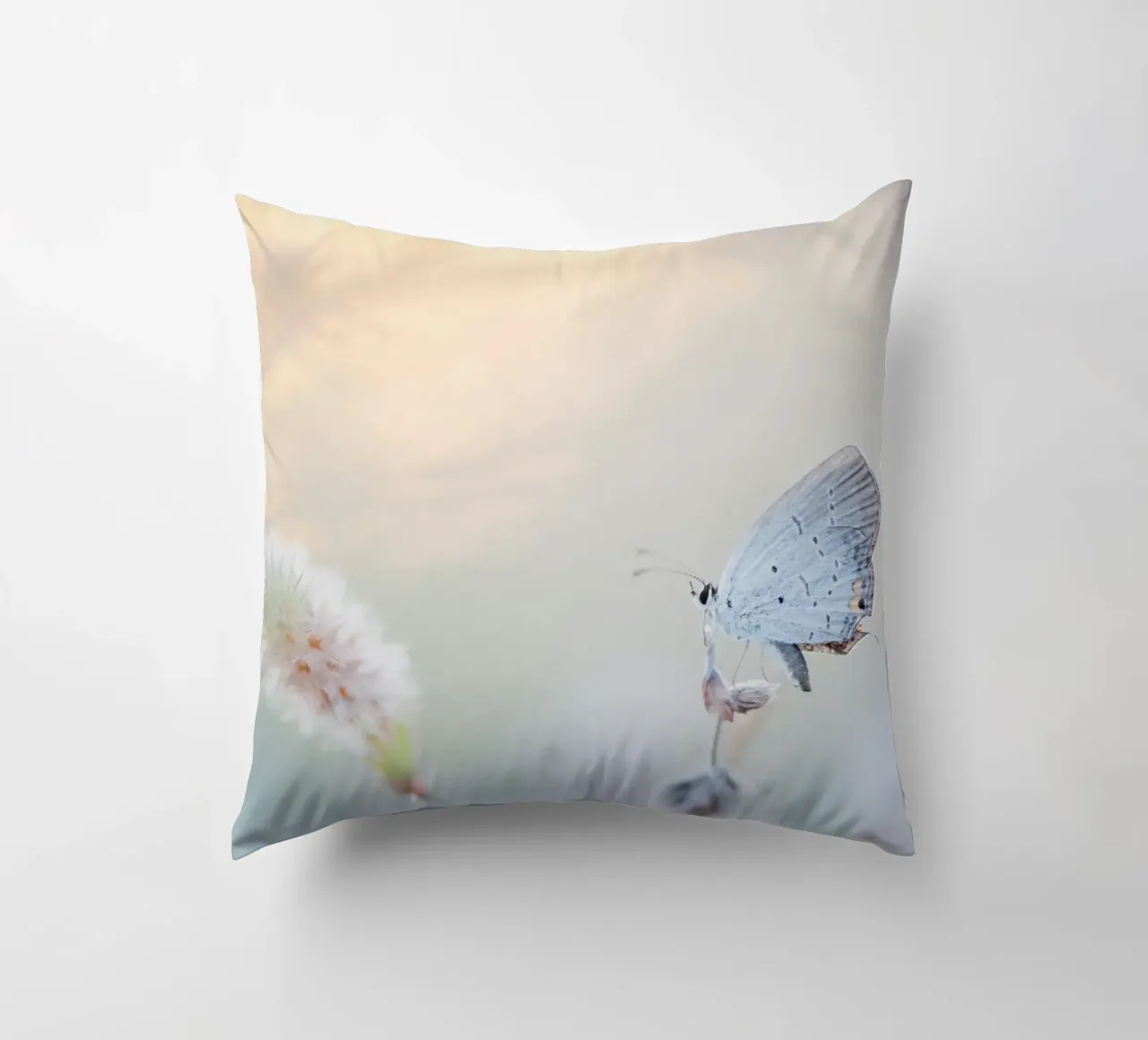farfalla soft focus cuscino da Earthly Visions