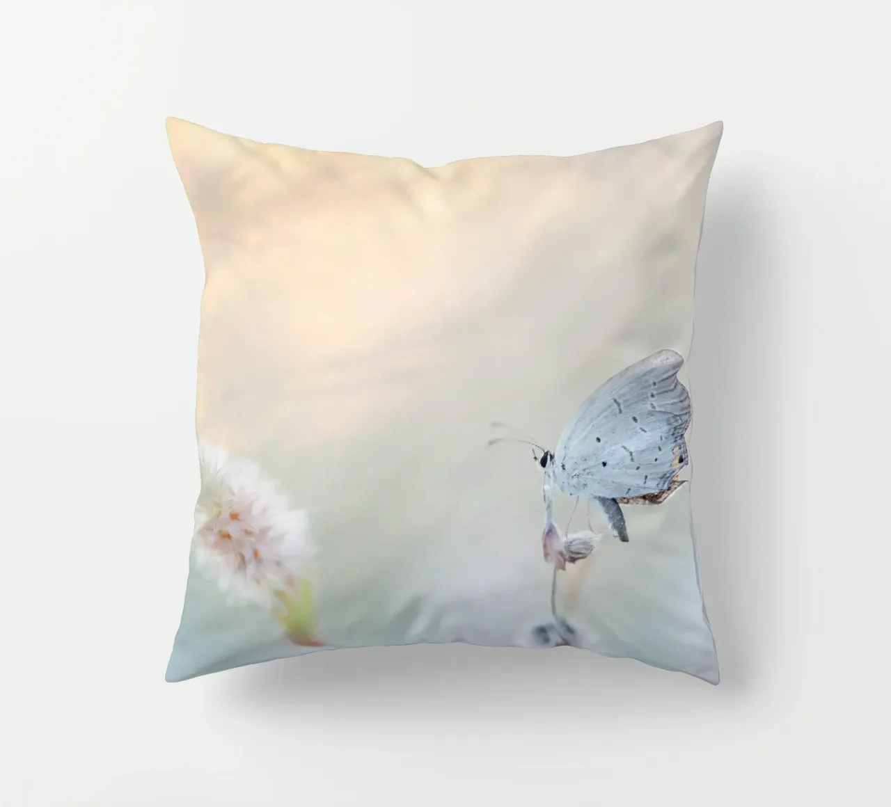 farfalla soft focus cuscino da Earthly Visions