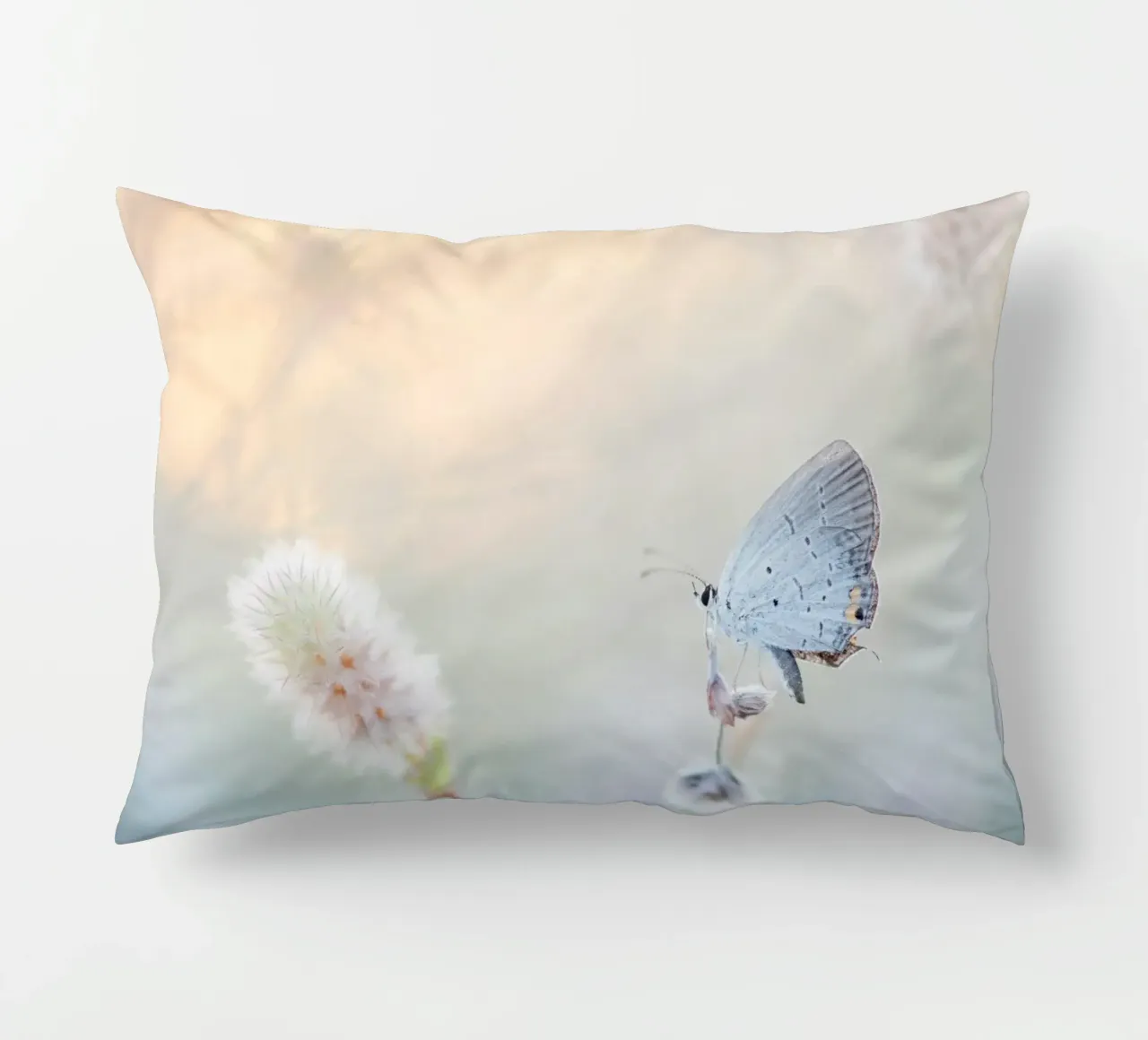 farfalla soft focus cuscino da Earthly Visions