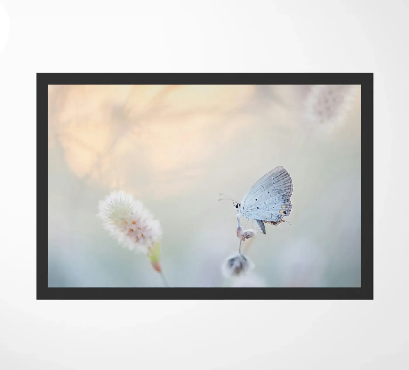 butterfly soft focus Fußmatte von Earthly Visions