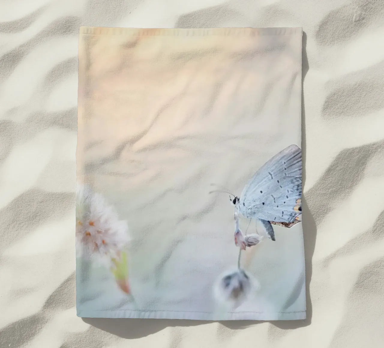 farfalla soft focus telo mare da Earthly Visions