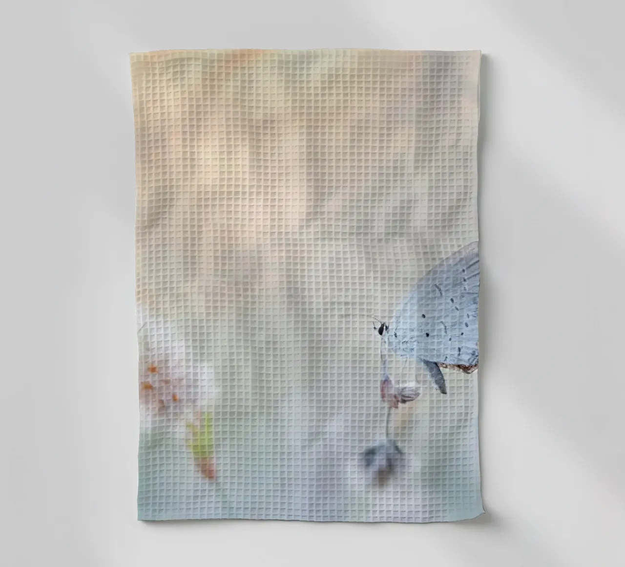 farfalla soft focus canovaccio da cucina da Earthly Visions