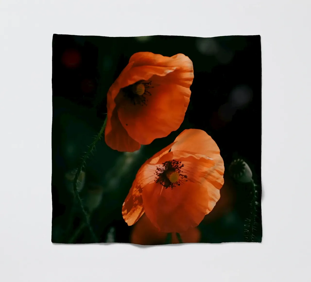 Mohnblumen Fleecedecke von Earthly Visions