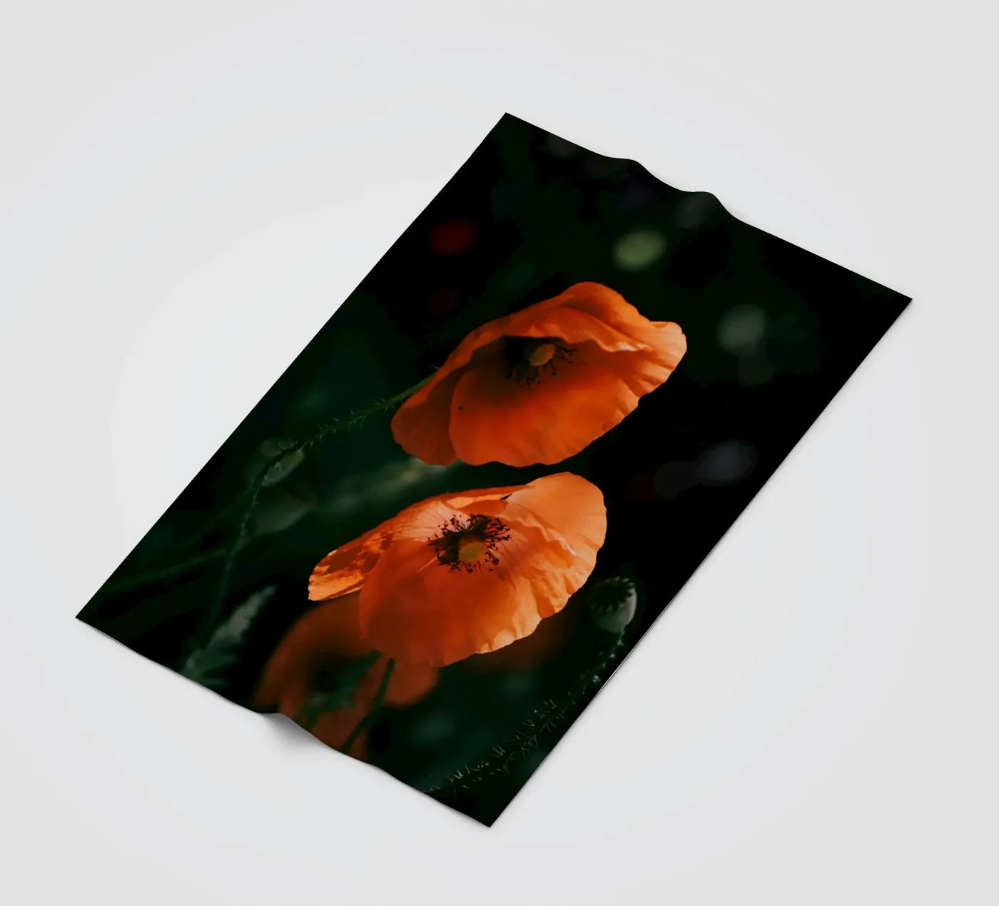 poppies flowers Fleecedecke von Earthly Visions