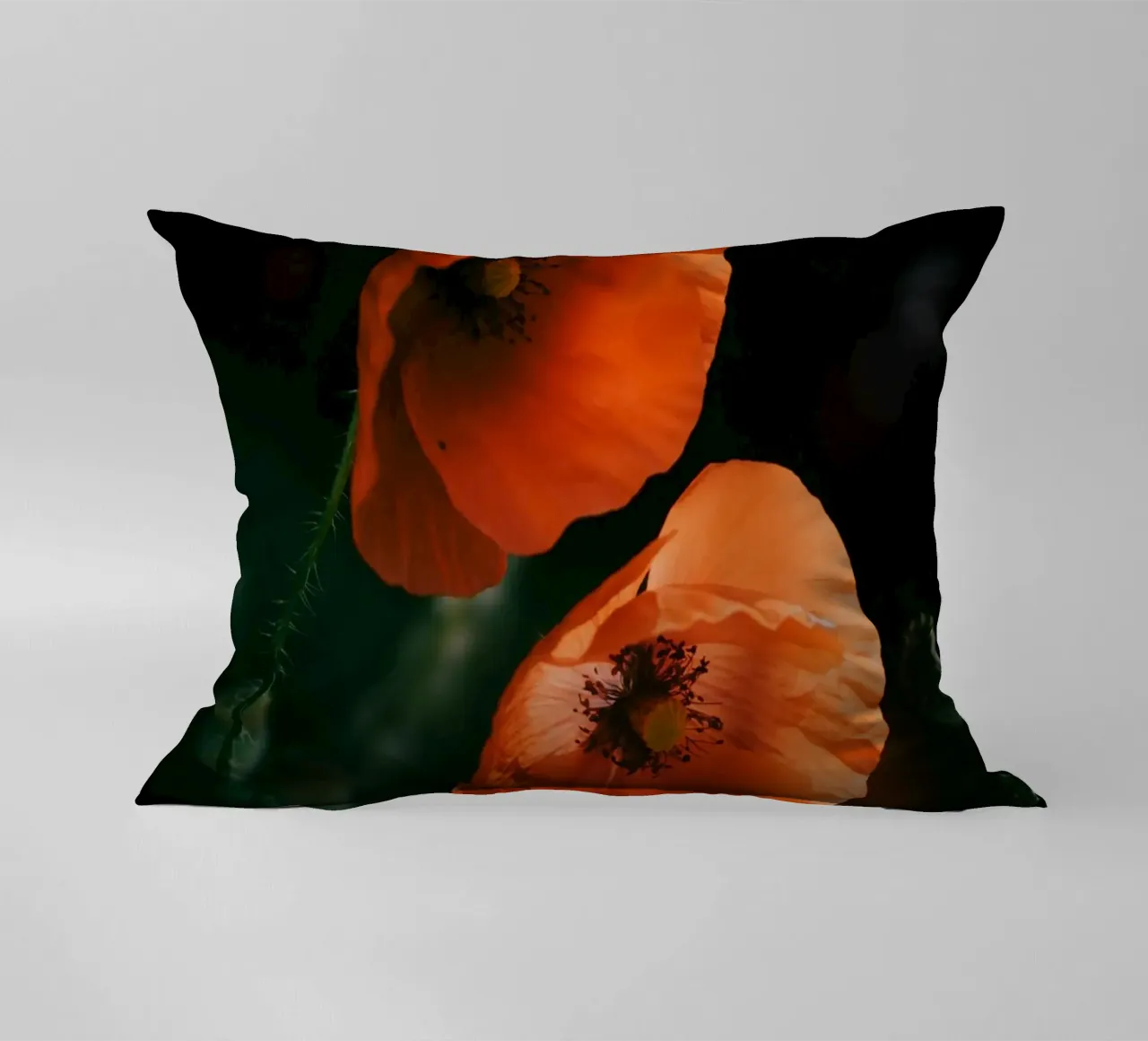 fiori di papavero cuscino da Earthly Visions