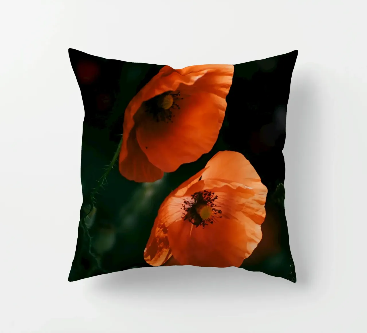 fiori di papavero cuscino da Earthly Visions