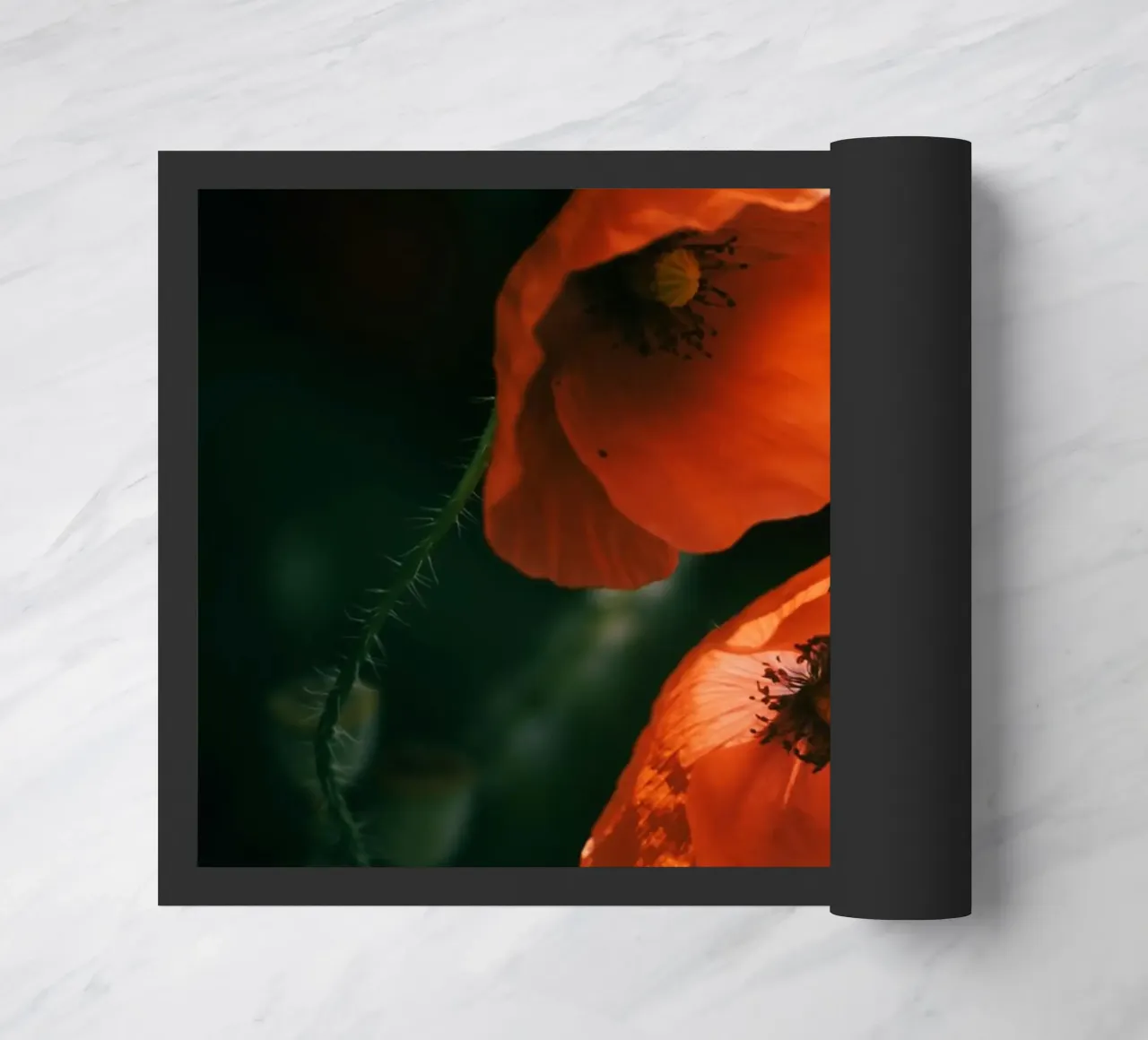 fiori di papavero zerbino da Earthly Visions