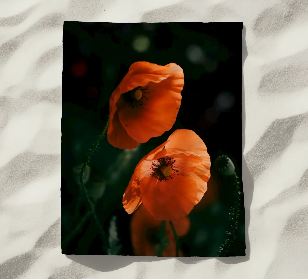 fiori di papavero telo mare da Earthly Visions