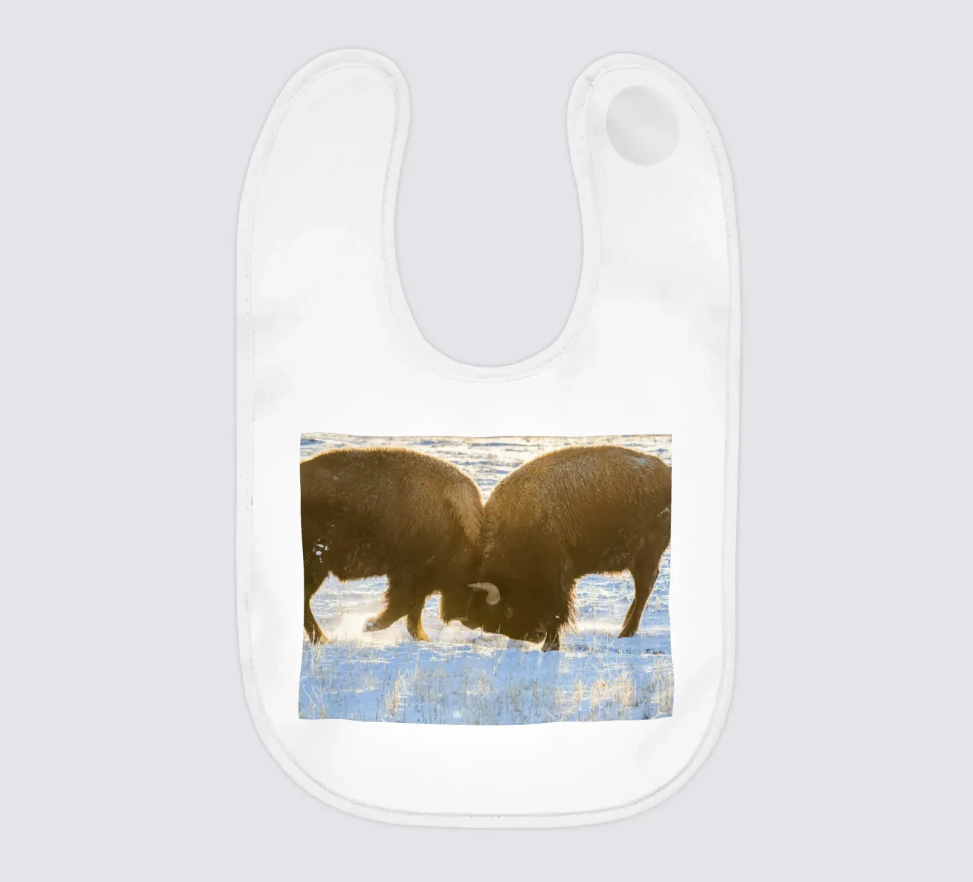 animale bisonte bavaglino da Earthly Visions