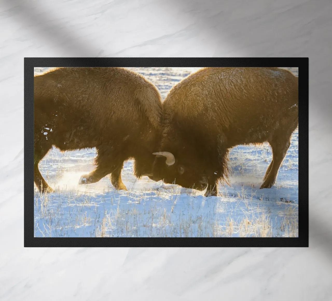 animale bisonte zerbino da Earthly Visions