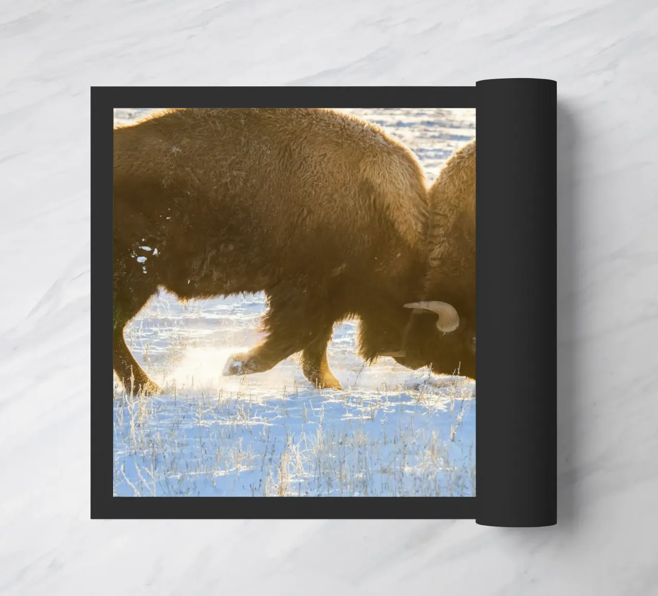 animale bisonte zerbino da Earthly Visions