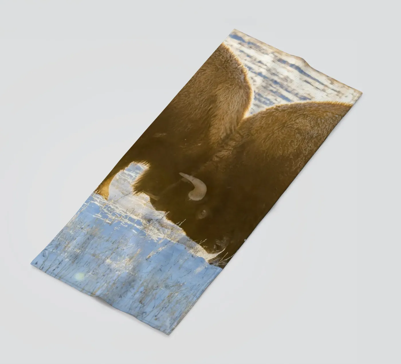 animale bisonte telo mare da Earthly Visions