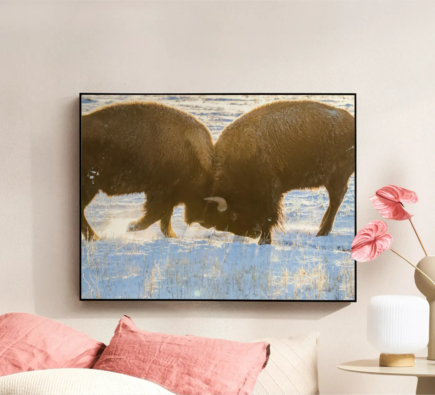 animale bisonte plexiglass da Earthly Visions