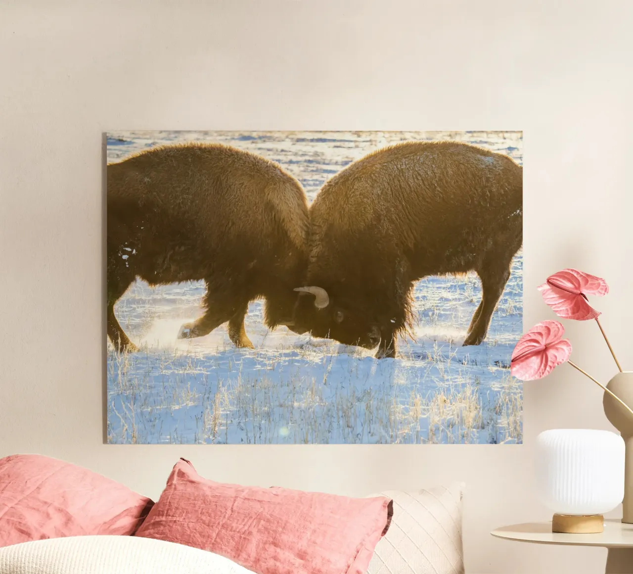 animale bisonte plexiglass da Earthly Visions