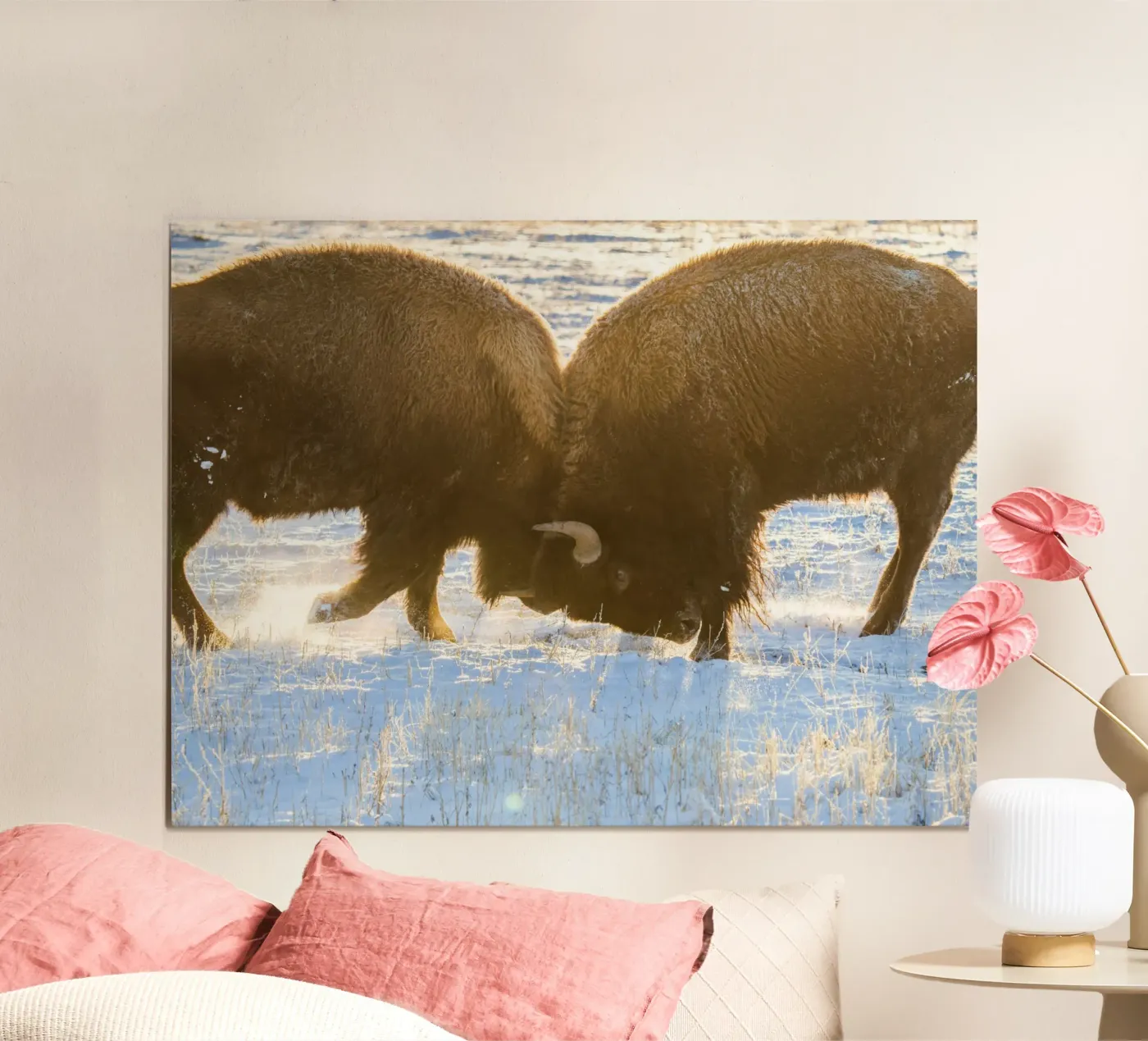 animale bisonte poster da Earthly Visions