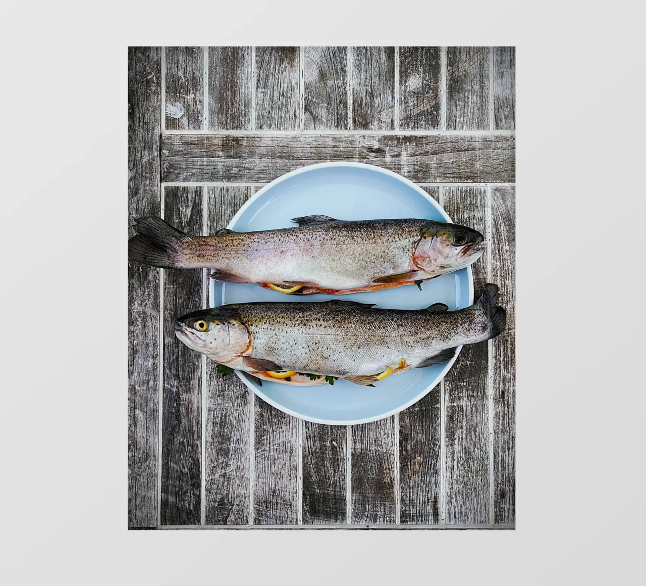 Salmon Serenity photo wallpaper by Nature's Palette