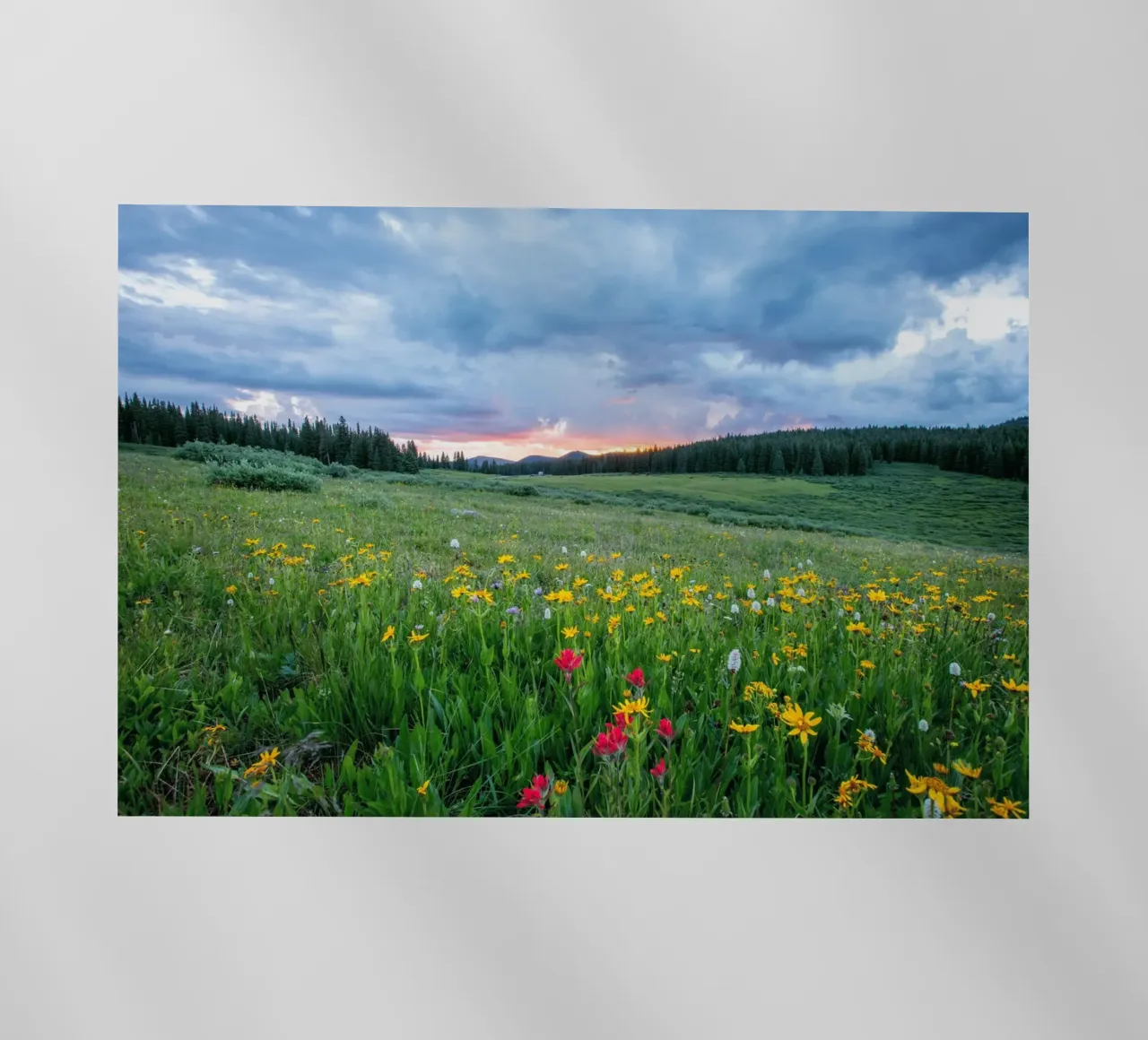 open landscape pellicola backlit da cofa home