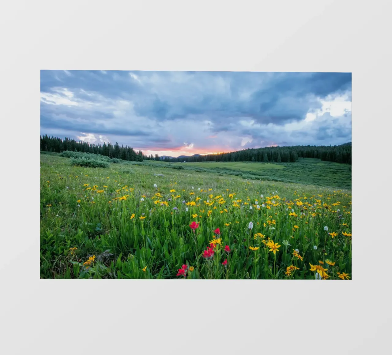 open landscape pellicola backlit da cofa home